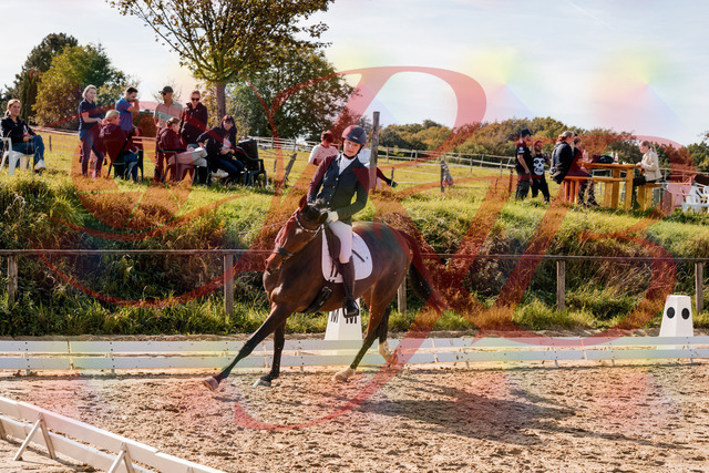 2026_10_03_Siefer-Hof_125627_Z63_63808580 | Professionelle Reitsport-, Turnier- und Eventfotografie von Robert Broda. Galerien mit ausgewählten und bearbeiteten Bildern direkt online ansehen und bestellen.