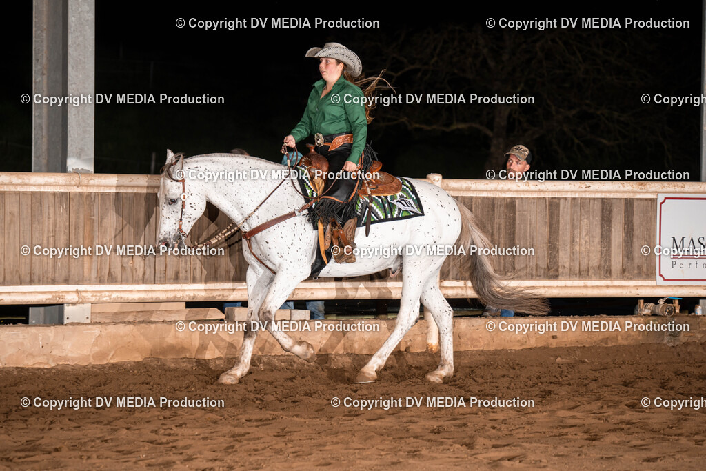 Erbach Tag 1-1263 | dv-media-shop - Realisiert mit Pictrs.com