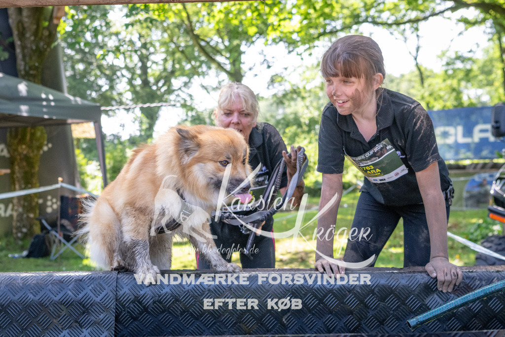 1427_ZZ94239 | kk-dogfotos