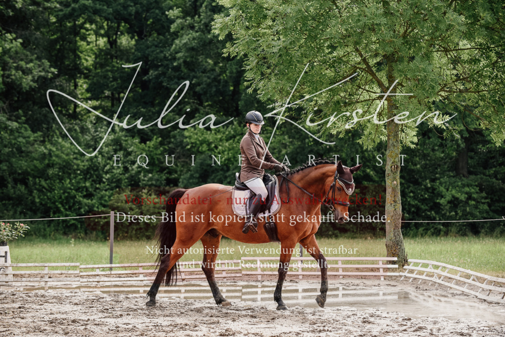 DSC_9518 | Pferde- und Turnierfotografie in Westsachsen. Pferdeportraits, Auftragszeichnungen und intuitive Kunst.