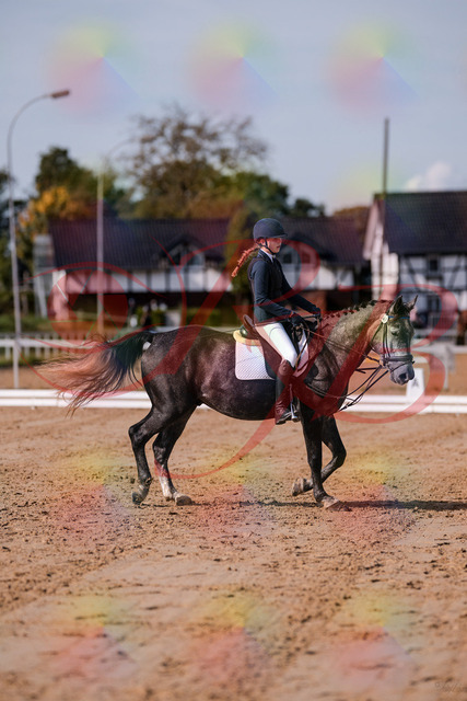 2026_10_03_Siefer-Hof_120333_Z81_05092650 | Professionelle Reitsport-, Turnier- und Eventfotografie von Robert Broda. Galerien mit ausgewählten und bearbeiteten Bildern direkt online ansehen und bestellen.