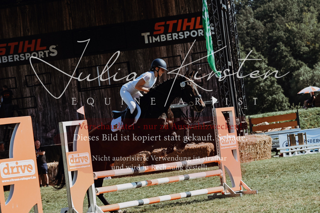 DSC_6591 | Pferde- und Turnierfotografie in Westsachsen. Pferdeportraits, Auftragszeichnungen und intuitive Kunst.