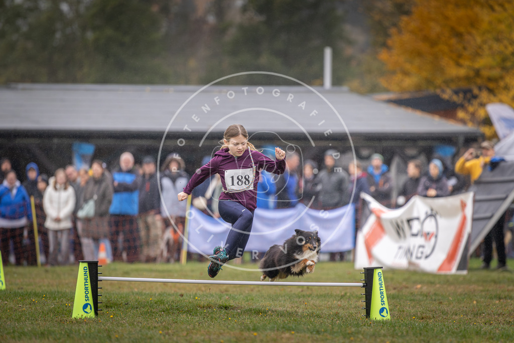Pfotenfotografie_DV3A9834 | Hundefotografie, Tierfotograf, Pfotenfotografie, Fotoshooting Hund, Hunde Portrait, Hundesport, Hundeportraits, Heideshooting, Hunde, Sportfotograf, Hundefotograf, Turnierhundsport, THS,  - Realisiert mit Pictrs.com
