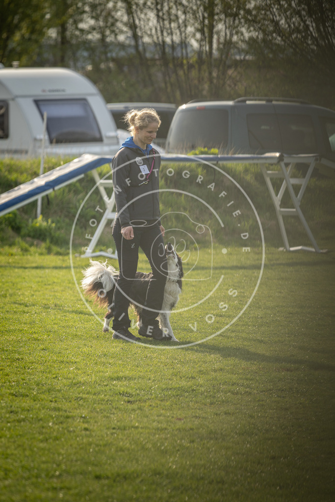 Pfotenfotografie_DV3A4748 | Hundefotografie, Tierfotograf, Pfotenfotografie, Fotoshooting Hund, Hunde Portrait, Hundesport, Hundeportraits, Heideshooting, Hunde, Sportfotograf, Hundefotograf, Turnierhundsport, THS,  - Realisiert mit Pictrs.com