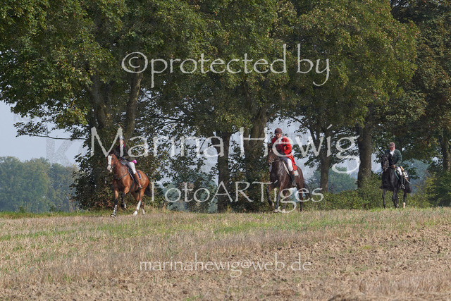 09-23 Jagd Perdöl_MCH9928_Marina Hewig | Fotografie, FotoArt, PferdesportArt, Pferdesportfotografie, Landschaftsfotografie, Reisefotografie, Reise, Pferde - Realisiert mit Pictrs.com