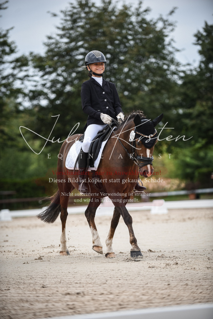DSC_8118 | Pferde- und Turnierfotografie in Westsachsen. Pferdeportraits, Auftragszeichnungen und intuitive Kunst.