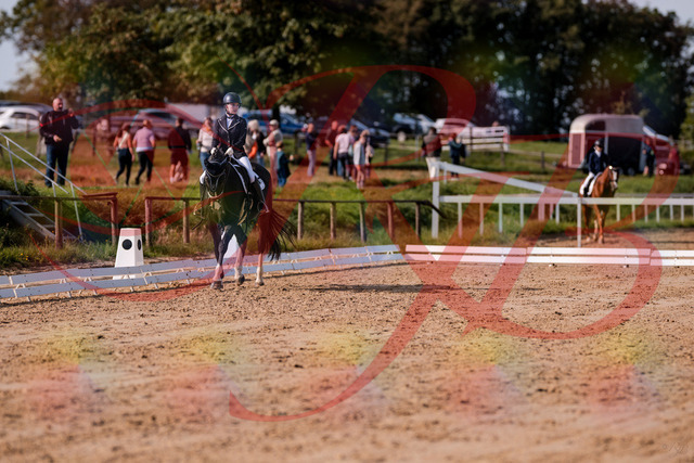 2026_10_03_Siefer-Hof_121552_Z81_17693910 | Professionelle Reitsport-, Turnier- und Eventfotografie von Robert Broda. Galerien mit ausgewählten und bearbeiteten Bildern direkt online ansehen und bestellen.