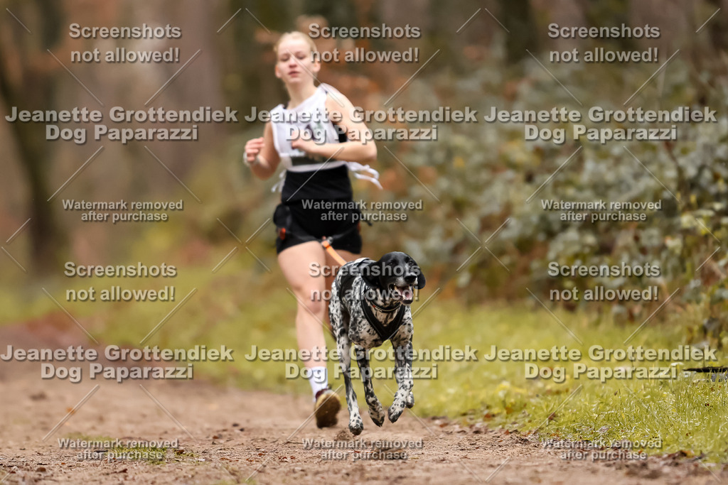 Dog Paparazzi - Speedhunter Mannheim  2025-106 | Dog Paparazzi Jeanette Grottendiek Fotografie & Videografie