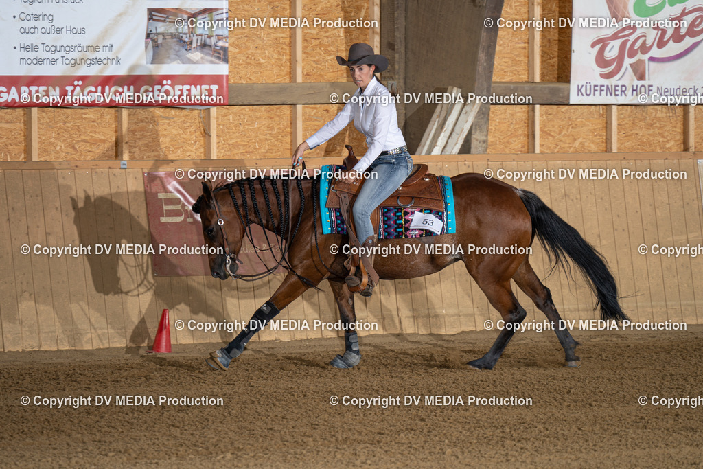 DSC00010-2 | dv-media-shop - Realisiert mit Pictrs.com