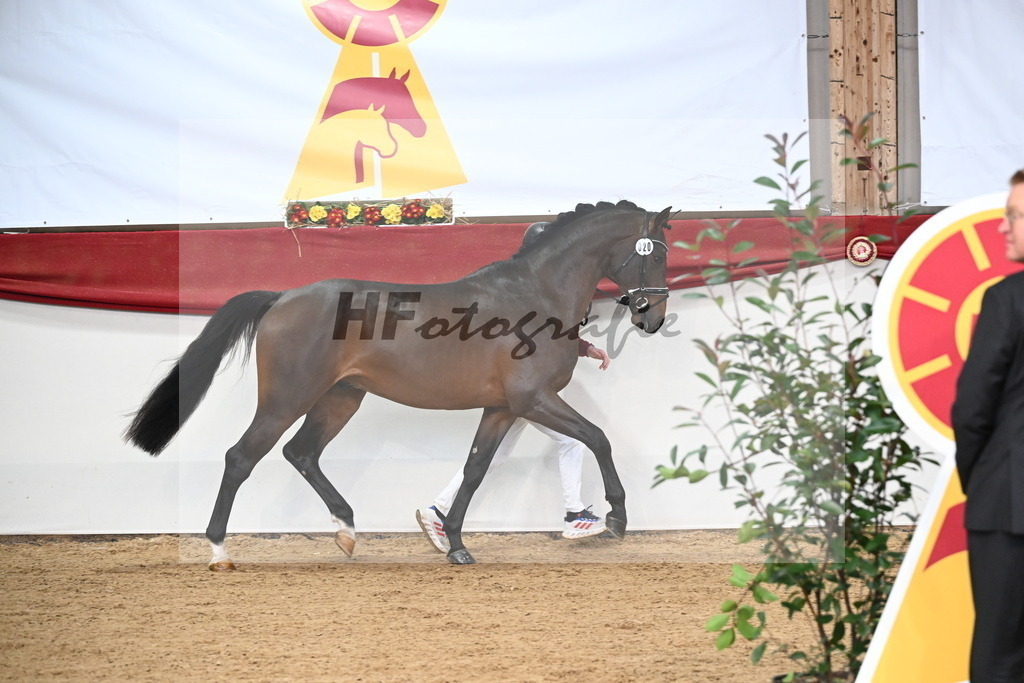 Kat.-Nr. 20 v. Dominatorre_Kohn_3265088 | hf-fotografie - Realisiert mit Pictrs.com