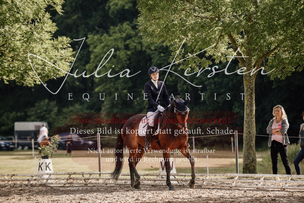 DSC_8761 | Pferde- und Turnierfotografie in Westsachsen. Pferdeportraits, Auftragszeichnungen und intuitive Kunst.