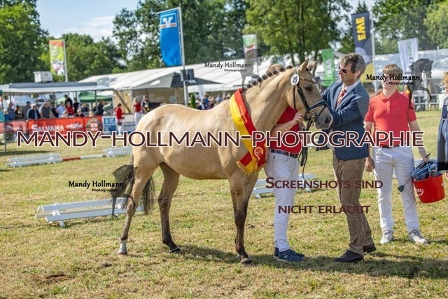 26-8-22 Brillantring-225 | mandyhollmannphotographie