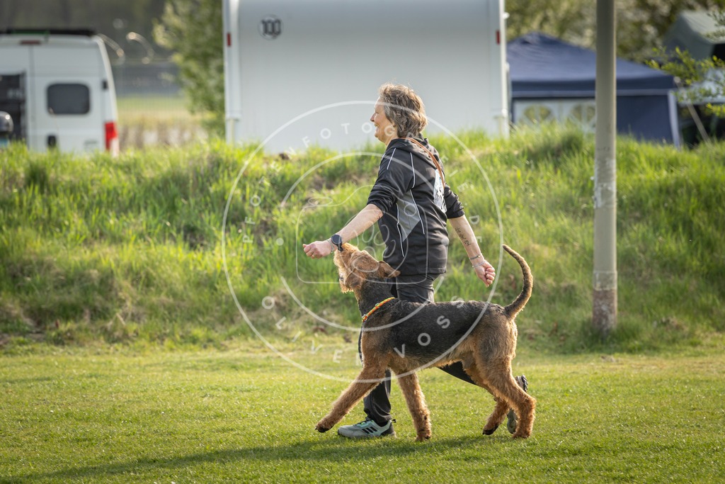 Pfotenfotografie_DV3A4833 | Hundefotografie, Tierfotograf, Pfotenfotografie, Fotoshooting Hund, Hunde Portrait, Hundesport, Hundeportraits, Heideshooting, Hunde, Sportfotograf, Hundefotograf, Turnierhundsport, THS,  - Realisiert mit Pictrs.com