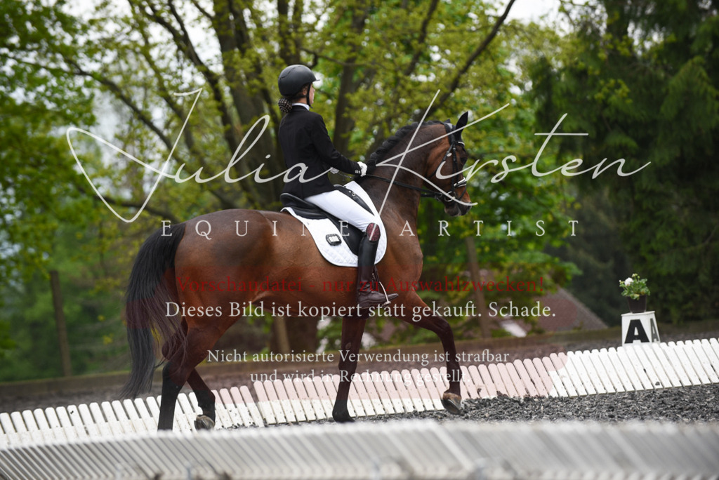 20230513_JK-Röhrsdorf-16-059 | Pferde- und Turnierfotografie in Westsachsen. Pferdeportraits, Auftragszeichnungen und intuitive Kunst.