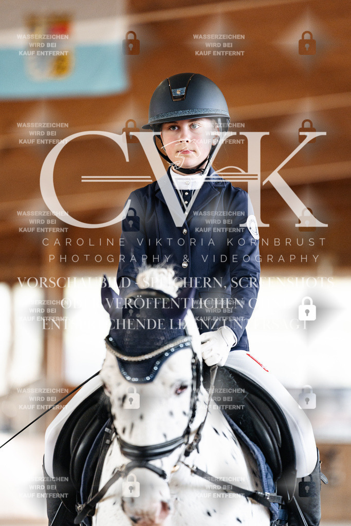 CK900103 | Turnierfotografie Pferdefotografie Trier Rheinland-Pfalz Pferdesport Reitsport Tierfotografie Sportfotografie Pferdevideo Pferdevideografie Equestrianvideography equestrianphotography  - Realisiert mit Pictrs.com