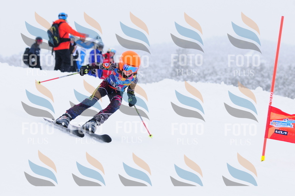 C3352 | holidayphoto