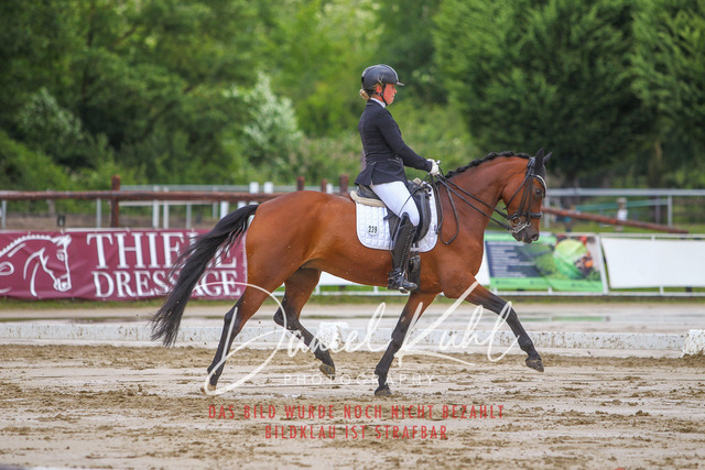 DKP40640 | Turniersportfotografie; Pferdefotografie; Dressurfotografie