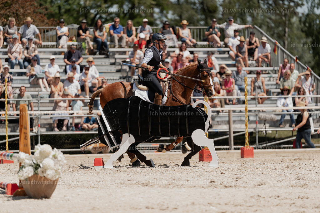 WE_SP_Stoib_323_PI2025_1903 | Pferd International München 2025