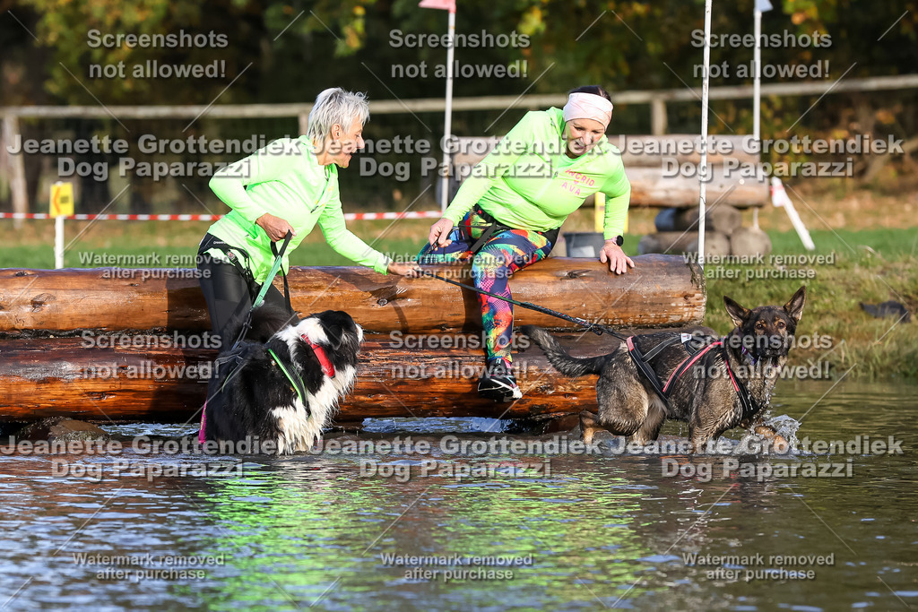 Dog Paparazzi - Strongdog 10-25-8505 | Dog Paparazzi Jeanette Grottendiek Fotografie & Videografie - Realisiert mit Pictrs.com