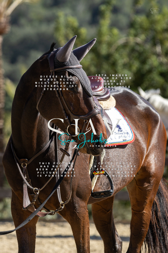 IMG_6421 | s-jay-photography - Realisiert mit Pictrs.com