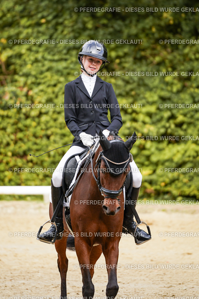 DSC09725 | Pferdegrafie