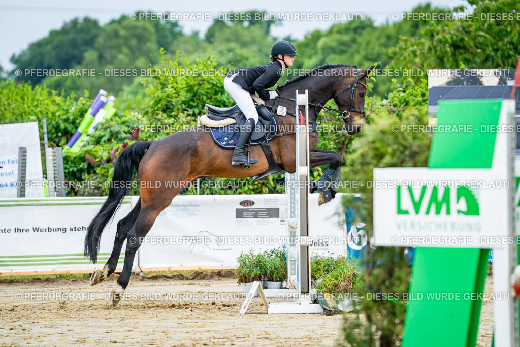 DSC02007 | Pferdegrafie