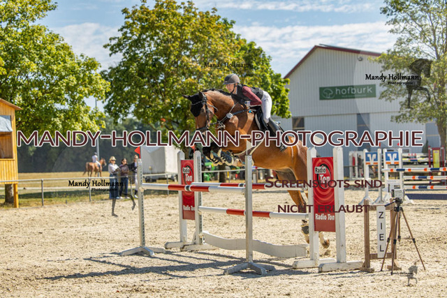 26-7-24 SPF M+-501 | mandyhollmannphotographie