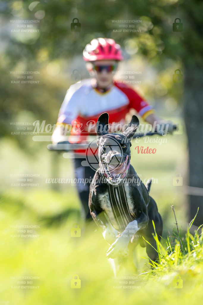 MompixPhotography_20TSB_E3_DS1-86 | PayLife