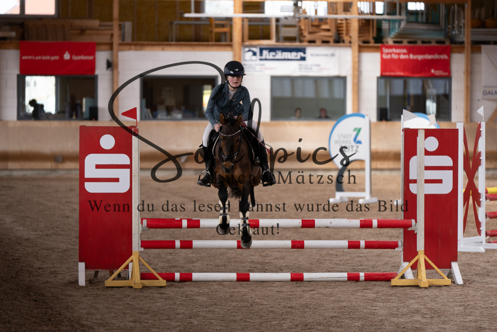 A7507419 | Pferdefotograf