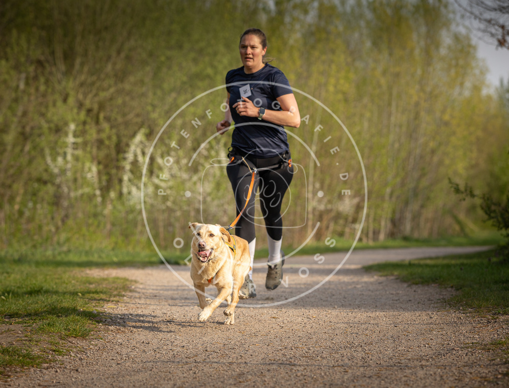 Pfotenfotografie_DV3A4491 | Hundefotografie, Tierfotograf, Pfotenfotografie, Fotoshooting Hund, Hunde Portrait, Hundesport, Hundeportraits, Heideshooting, Hunde, Sportfotograf, Hundefotograf, Turnierhundsport, THS,  - Realisiert mit Pictrs.com