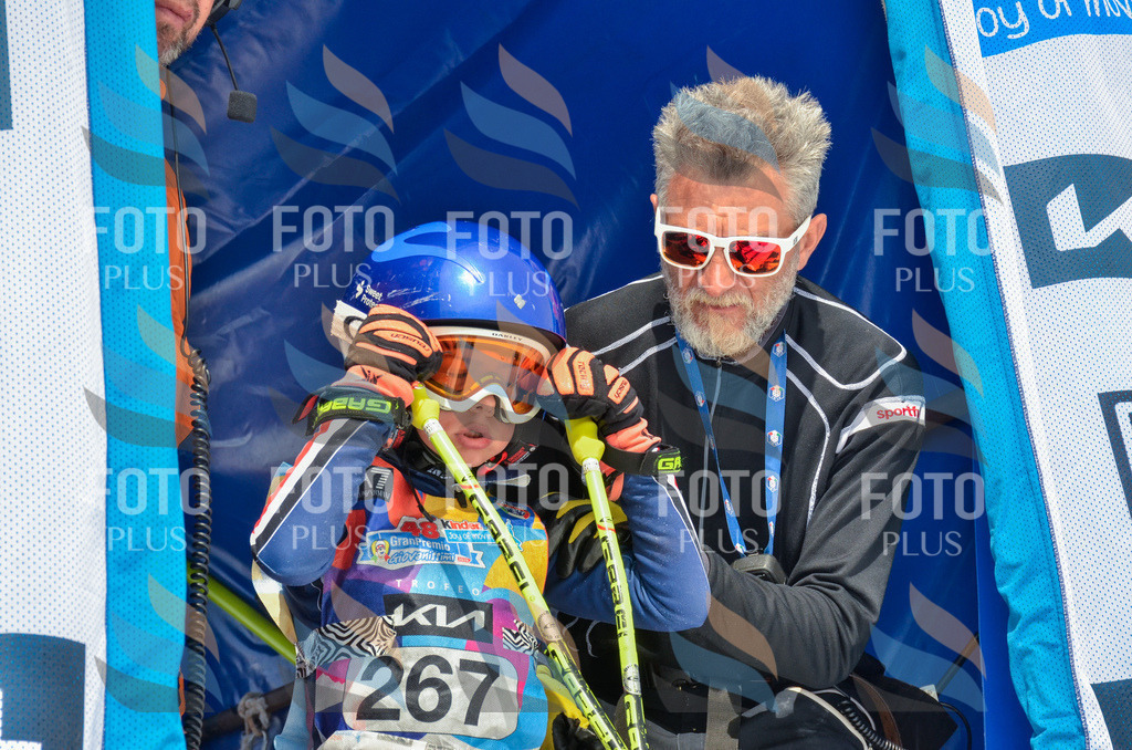 _ELE7756 | holidayphoto