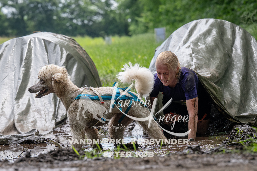 1102_ZZ91153 | kk-dogfotos