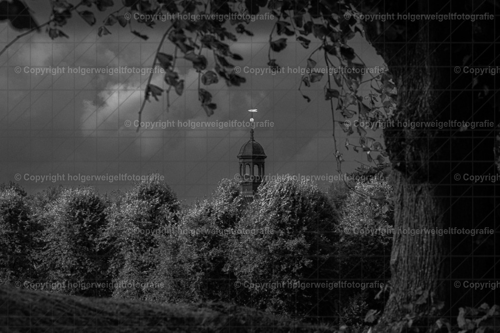 20230930142437D75_8193 | Kaufen sie online außergewöhnliche Fotografien auf Leinwand Acrylglas Fotoprint Aludibond von holgerweigeltfotografie - Realisiert mit Pictrs.com