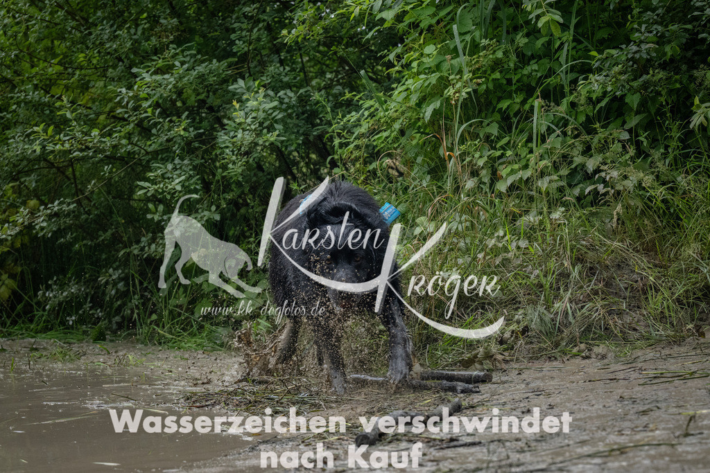 1313_ZZ93661 | kk-dogfotos