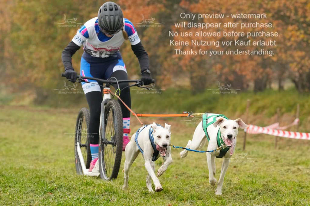 AusschnitteSa-171 | stephaniefillaphotographie - Realisiert mit Pictrs.com