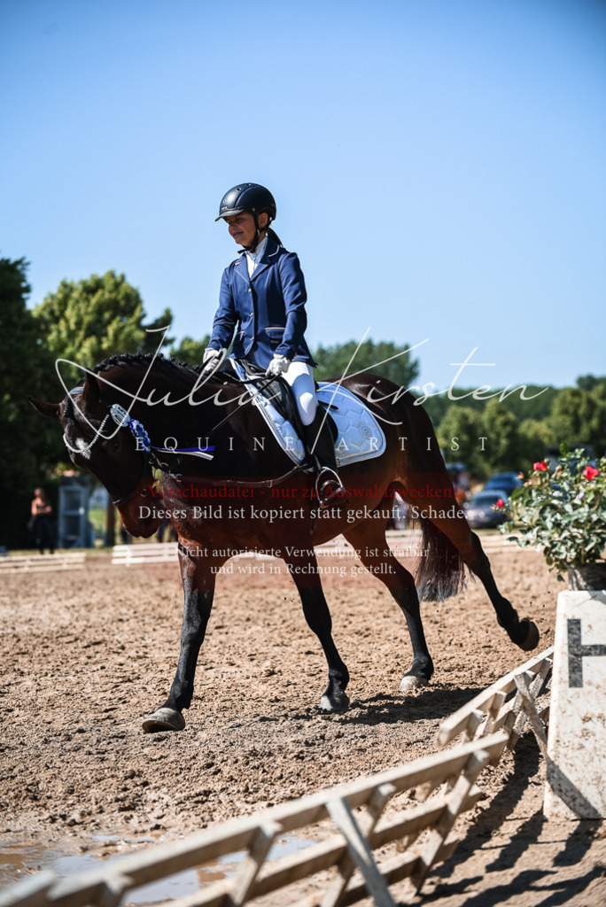 DSC_3710 | Pferde- und Turnierfotografie in Westsachsen. Pferdeportraits, Auftragszeichnungen und intuitive Kunst.