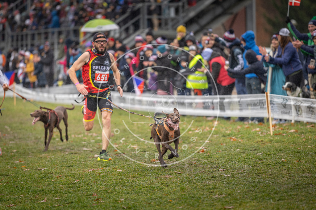 CaniXpix_DV3A9862 | Hundefotografie, Tierfotograf, Pfotenfotografie, Fotoshooting Hund, Hunde Portrait, Hundesport, Hundeportraits, Heideshooting, Hunde, Sportfotograf, Hundefotograf, Turnierhundsport, THS,  - Realisiert mit Pictrs.com