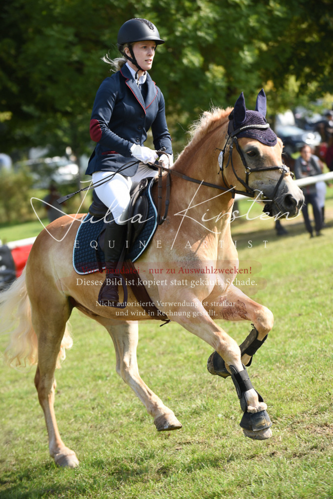 DSC_8894 | Pferde- und Turnierfotografie in Westsachsen. Pferdeportraits, Auftragszeichnungen und intuitive Kunst.
