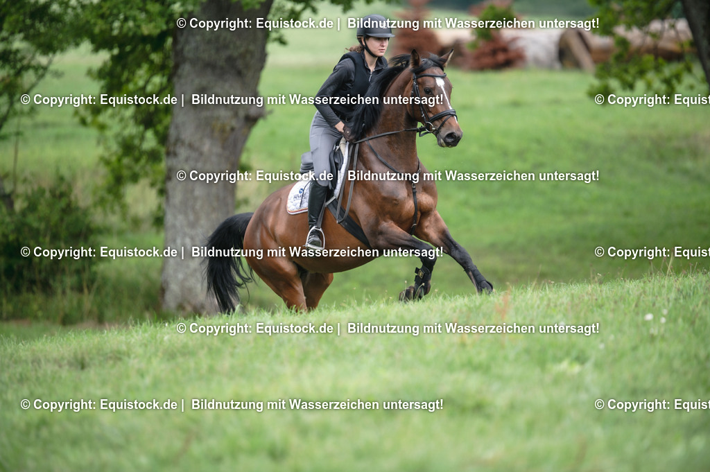 20250726_Vielseitigkeitslehrgang-Marbach_0702 | Foto: Thomas Hartig