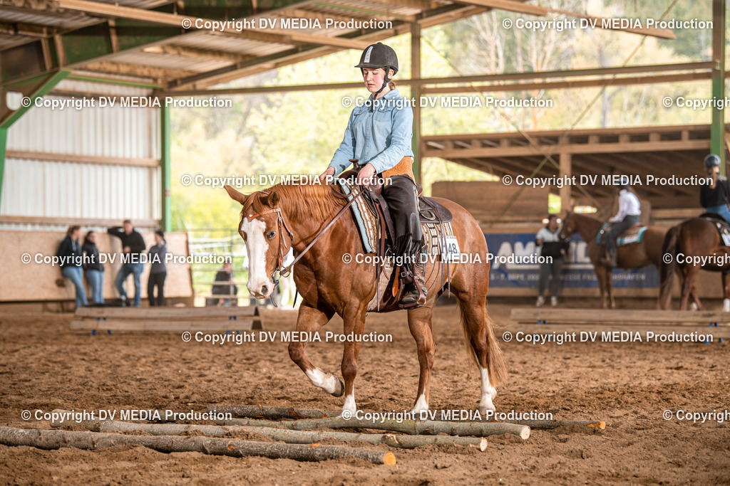 Balingen Tag 2-821 | dv-media-shop - Realisiert mit Pictrs.com