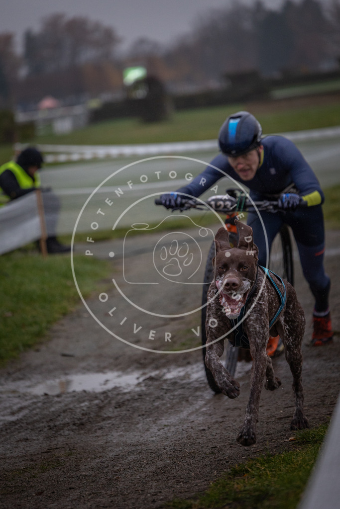 CaniXpix_0L8A0469 | Hundefotografie, Tierfotograf, Pfotenfotografie, Fotoshooting Hund, Hunde Portrait, Hundesport, Hundeportraits, Heideshooting, Hunde, Sportfotograf, Hundefotograf, Turnierhundsport, THS,  - Realisiert mit Pictrs.com