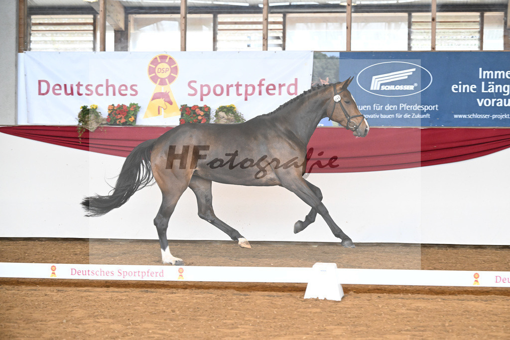 Kat-Nr. 48 Bellana v. Bellany_Jaumann_16250213 | hf-fotografie - Realizzato con Pictrs.com