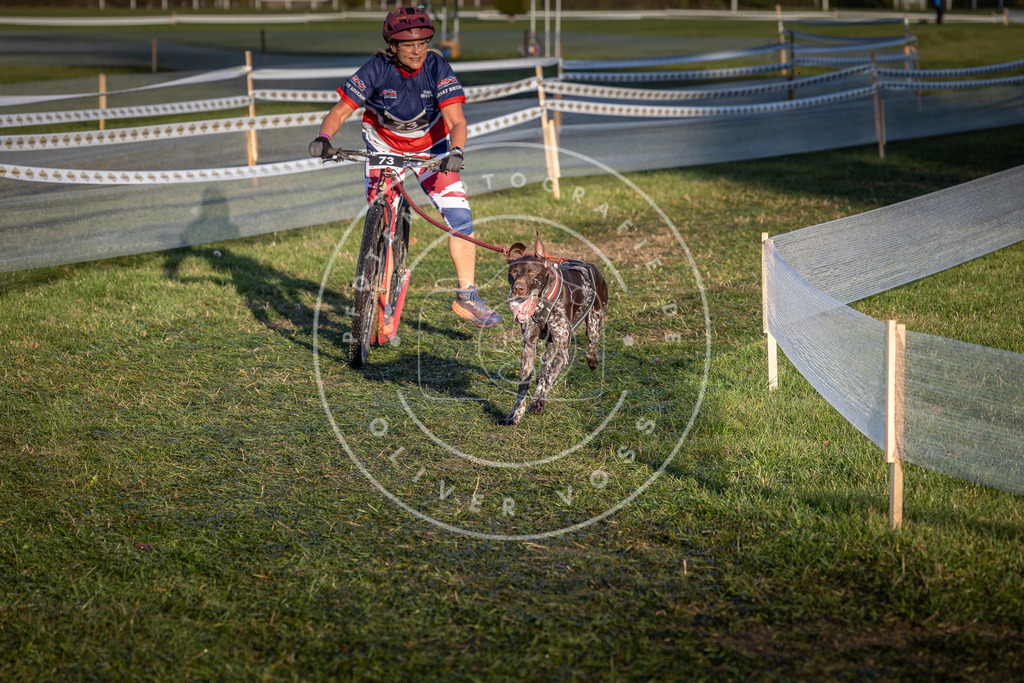 CaniXpix_0L8A3555 | Hundefotografie, Tierfotograf, Pfotenfotografie, Fotoshooting Hund, Hunde Portrait, Hundesport, Hundeportraits, Heideshooting, Hunde, Sportfotograf, Hundefotograf, Turnierhundsport, THS,  - Realisiert mit Pictrs.com