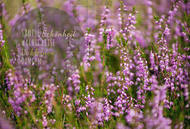 Oktober_Erika | Schöne Postkarten, Kalender und Fotogeschenke für verschiedene Anlässe online kaufen – Urlaubskarten, Geburtstagskarten, Karten, Polaroids und Geschenke zu Weihnachten, Ostern, Muttertag, Valentinstag oder zur Hochzeit - Realisiert mit Pictrs.com