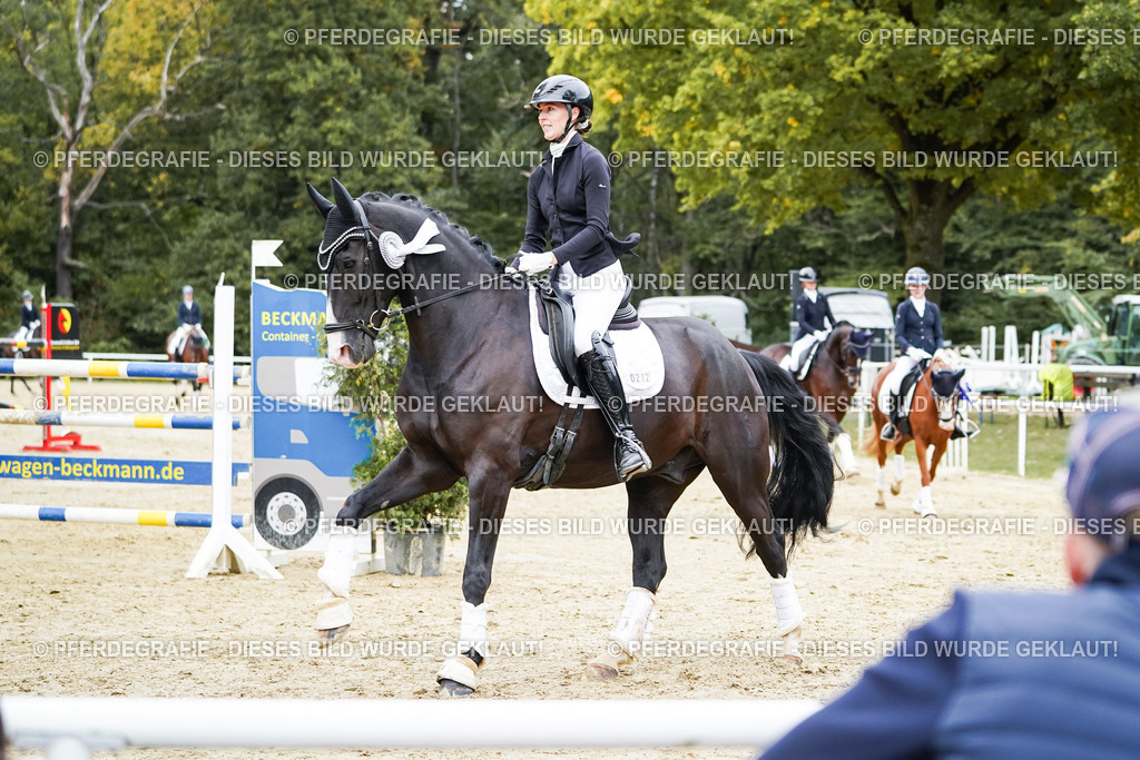 DSC02472 | Pferdegrafie