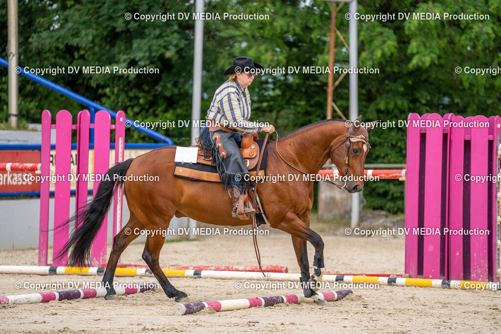 Zeiskam Tag 2-2850 | dv-media-shop - Realisiert mit Pictrs.com