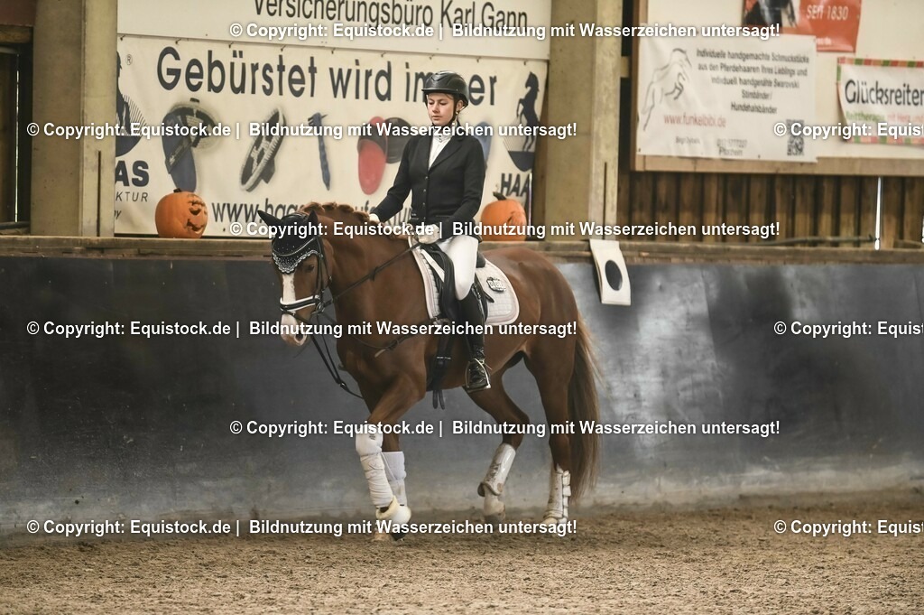 03_Reiter-WB_0142 | Foto: Thomas Hartig