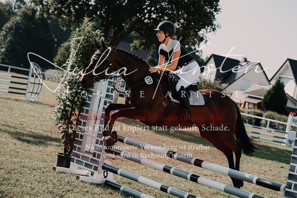 DSC_4779 | Pferde- und Turnierfotografie in Westsachsen. Pferdeportraits, Auftragszeichnungen und intuitive Kunst.