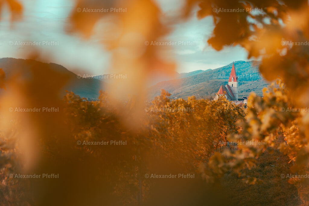 foto_c_pfeffel-partner-0058-R52_0052 | alexander-pfeffel - Realisiert mit Pictrs.com