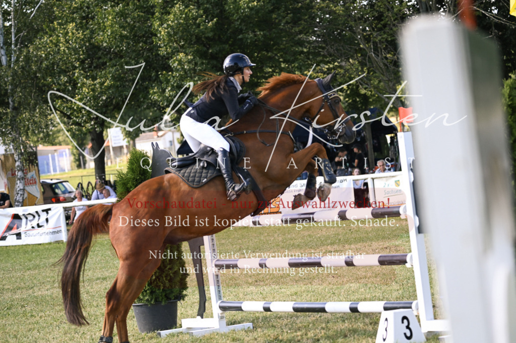 DSC_1371 | Pferde- und Turnierfotografie in Westsachsen. Pferdeportraits, Auftragszeichnungen und intuitive Kunst.